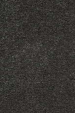 Ковролин AW Invictus Heroicus 98 фото 1 | FLOORDEALER